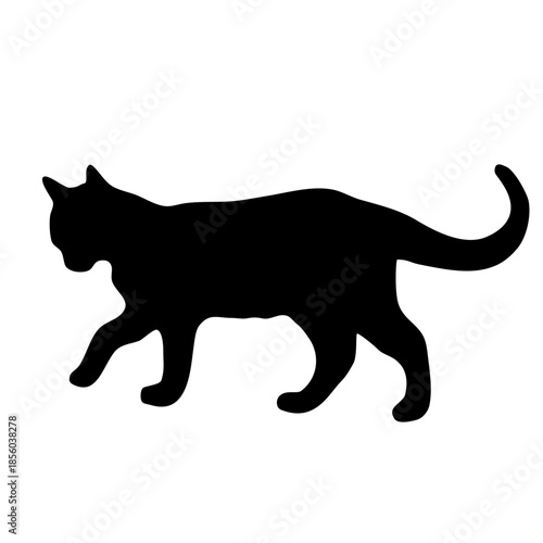 silhouette of a cat