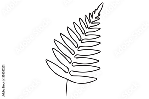 Simple fern illustration