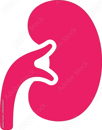 A simple, stylized pink illustration of a human kidney, depicted with a smooth, bean-like shape and a central indentation, against a white background.