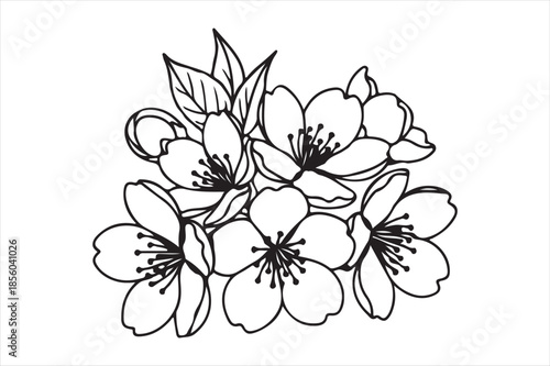 Delicate cherry blossom illustration