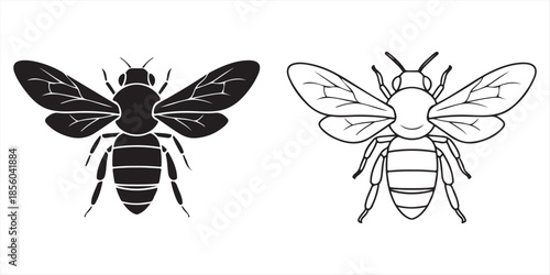 Illustrations of two bees