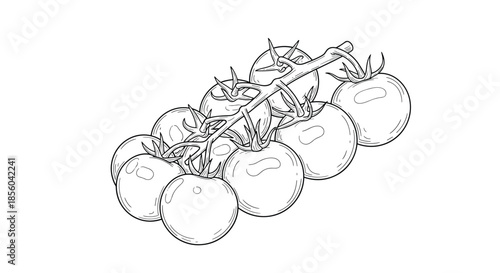 Detailed black and white line art drawing of a cluster of ripe cherry tomatoes hanging on a single green vine isolated on white.