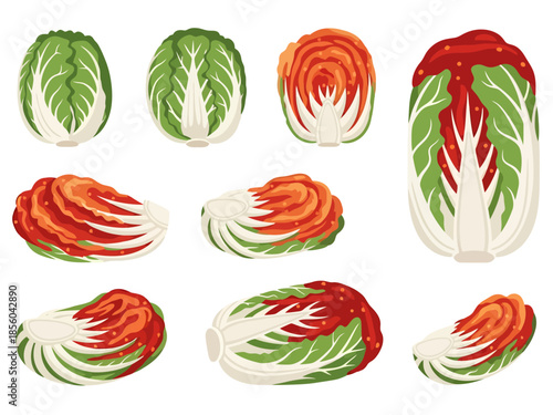 Diverse Collection of Napa Cabbage and Kimchi Components