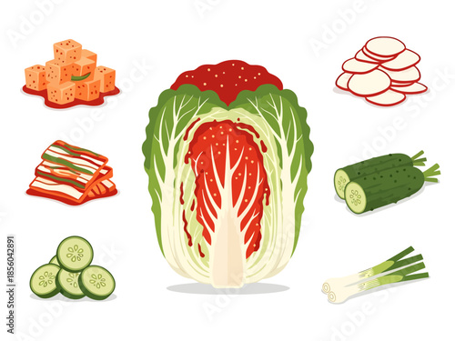 Napa Cabbage and Fermented Food Ingredients Collection
