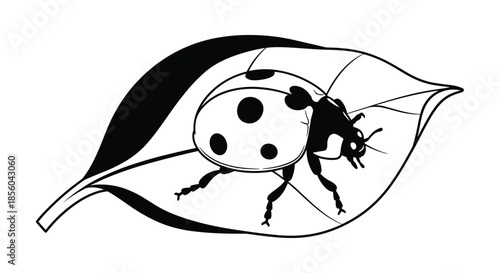 Detailed line art drawing of a spotted ladybug resting on a large leaf with intricate veins and shadows in a clean black and white style.