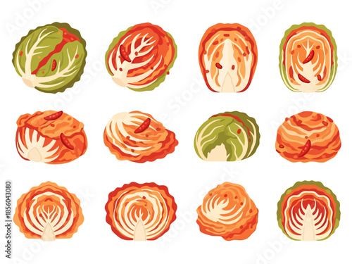 Napa Cabbage Kimchi Collection Whole Halved and Sections Depicting Fermented Korean Food Staple