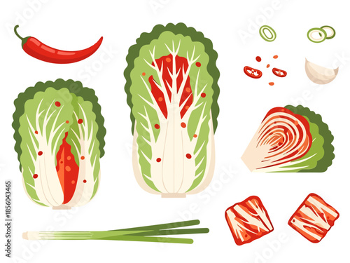 Fresh Cabbage and Chili Ingredients for Fermented Food Preparation