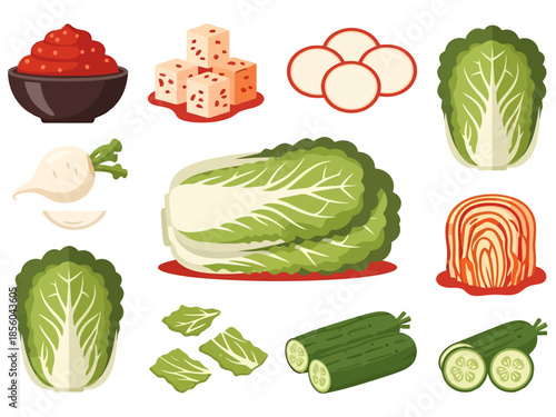 Korean Fermented Cabbage Collection Culinary Ingredients and Food Preparation Elements