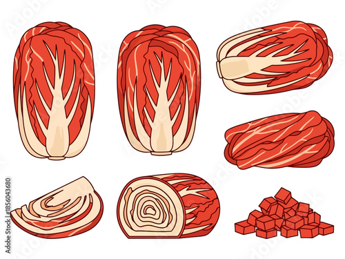Fermented Cabbage Ingredient Set for Asian Cuisine and Healthy Eating