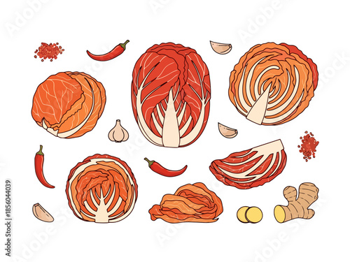 Napa Cabbage Ingredients for Fermented Dish Preparation