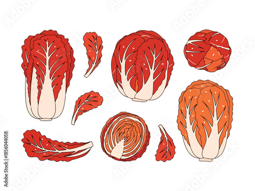 Fresh Red Cabbage Elements Collection of Produce