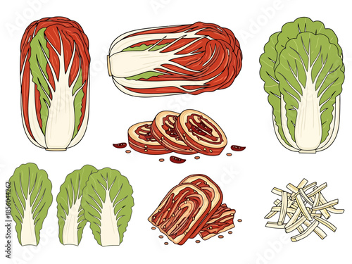 Fresh Napa Cabbage and Kimchi Variety Collection Culinary Ingredients