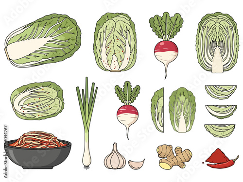 Fresh Ingredients for Fermented Cabbage Dish Napa Cabbage Radish Scallions Garlic Ginger Chile Powder