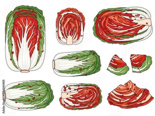 Fresh Napa Cabbage Collection for Culinary Use