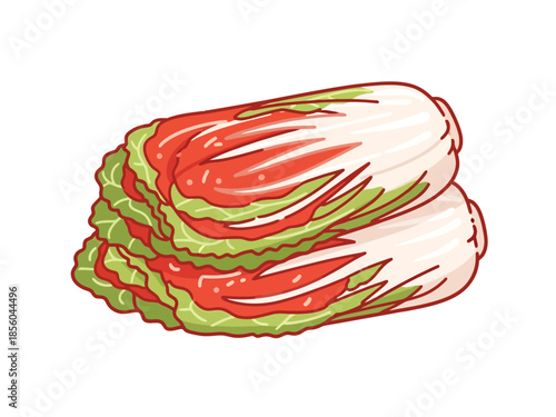 Fresh Napa Cabbage Heads Stacked Isolated on White Background