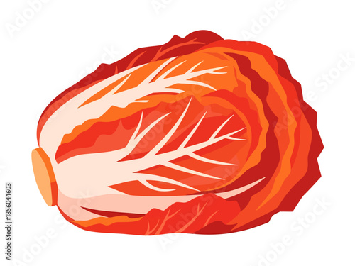 Fresh Nappa Cabbage Head with Red Leaf Edges Isolated on White Healthy Food Element