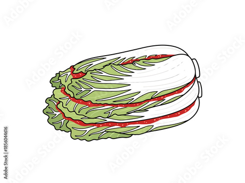 Fresh Napa Cabbage Heads Stacked Healthy Food Ingredient Design Element