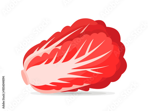 Red Cabbage Head Isolated on White Background for Culinary Design