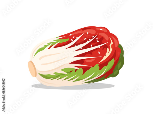 Fresh Napa Cabbage Food Element for Culinary Design