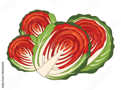 Fresh Napa Cabbage Halves with Vibrant Red and Green Leaves