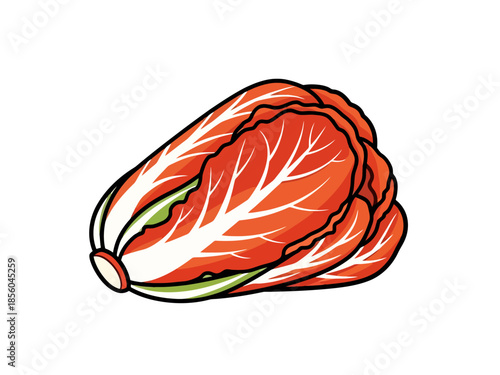 Whole Napa Cabbage Preparation for Fermentation Recipe Ingredient