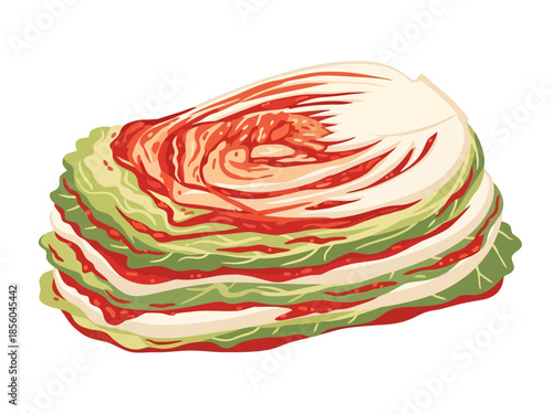 Napa Cabbage Food Ingredient for Fermentation and Cooking