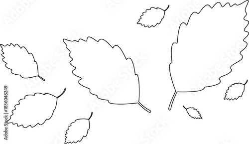 Beech leaf outline set logo isolated on transparent background for autumn design projects