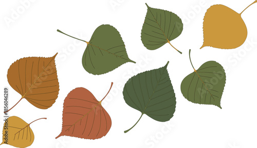 Collection of scattered autumn leaves graphic elements ideal for fall season Logo and textile pattern designs
