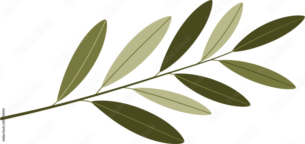 Obraz premium Olive branch logo element with green leaves on transparent background for organic design