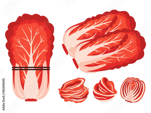 Fresh Red Cabbage and Kimchi Ingredients Presentation