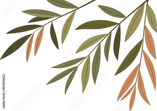 Willow tree branches logo pattern with long thin leaves on grey transparent backdrop art