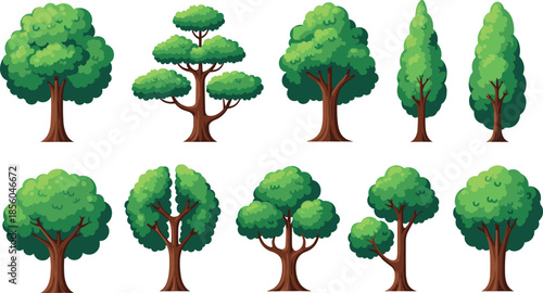 Green tree collection illustration showing different shapes and species, natural forest vegetation set, landscape design elements, eco concept, flat vector illustration