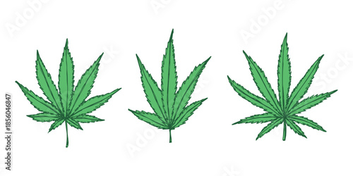 Set of hand drawn cannabis leaf Medicine marijuana Hemp leaves clipart in doodle style Single element for print, web, design, decor