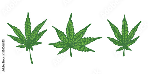 Set of hand drawn cannabis leaf Medicine marijuana Hemp leaves clipart in doodle style Single element for print, web, design, decor