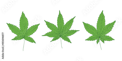 Set of hand drawn cannabis leaf Medicine marijuana Hemp leaves clipart in doodle style Single element for print, web, design, decor