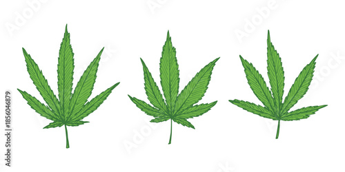 Set of hand drawn cannabis leaf Medicine marijuana Hemp leaves clipart in doodle style Single element for print, web, design, decor