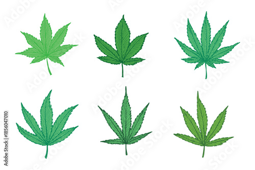 Set of hand drawn cannabis leaf Medicine marijuana Hemp leaves clipart in doodle style Single element for print, web, design, decor
