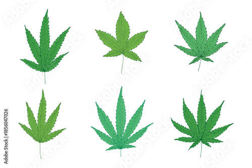Set of hand drawn cannabis leaf Medicine marijuana Hemp leaves clipart in doodle style Single element for print, web, design, decor