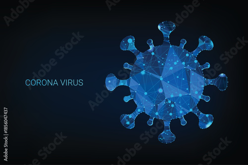 Low Poly Network Design COVID-19