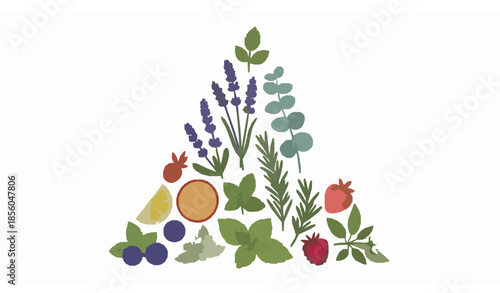 Essential oil plants herbs fruits and berries aroma set modern vector illustration