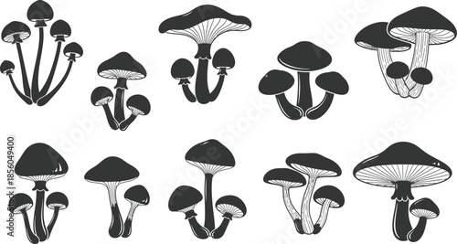 Minimalist Mushroom Silhouettes | Black & White Fungi Vector