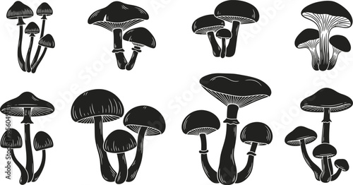 Minimalist Mushroom Silhouettes | Black & White Fungi Vector
