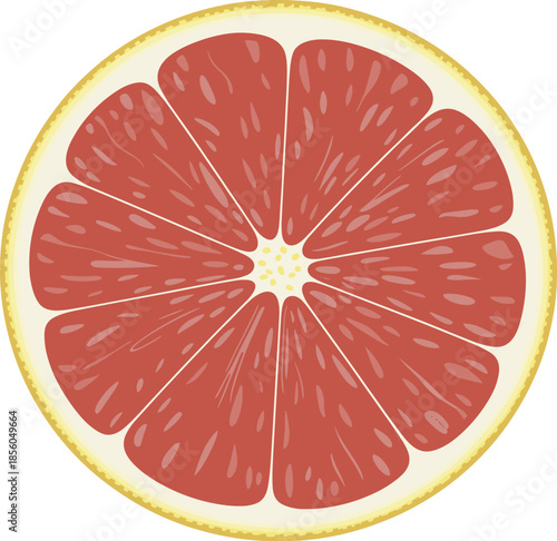Fresh grapefruit slice close up isolated on white background juicy citrus fruit cross section food photography healthy nutrition concept