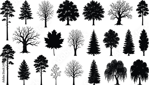 Black tree silhouettes collection, diverse foliage patterns, coniferous and deciduous trees, maple leaf, botanical illustration, nature design elements, vector art