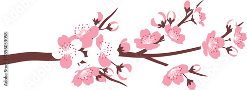 Pink and white cherry blossom branch vector illustration with delicate sakura flowers and buds for spring floral designs.