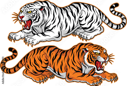 Detailed white and orange tiger illustration set, roaring predator in traditional Japanese tattoo style, aggressive wild animal crouching mascot vector.