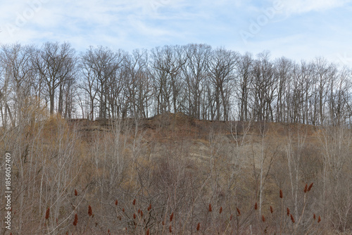 staghorn sumac drupe clusters, and trees, some at the top of an escarpment
