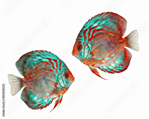Shiny Discus Swim Discus fish isolated watercolor vector illustration svg
