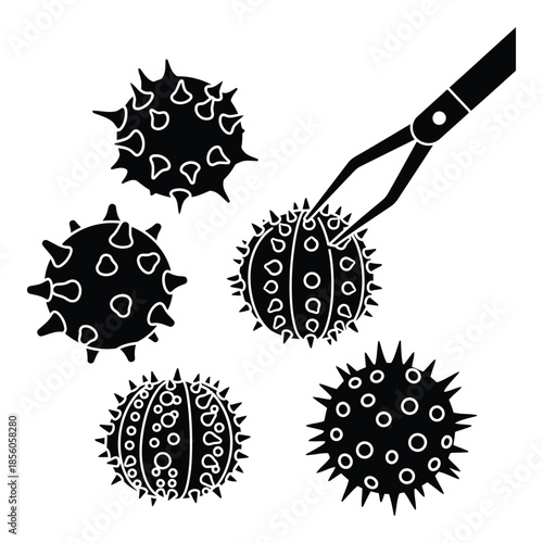 Microscopic Pollen Grains Being Picked Up With Tweezers