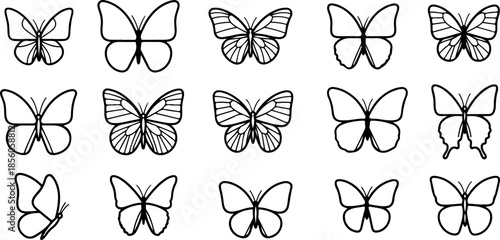 Monochrome Butterfly Species Collection